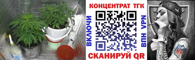 Купить Дятьково Дистиллят ТГК гашишное масло