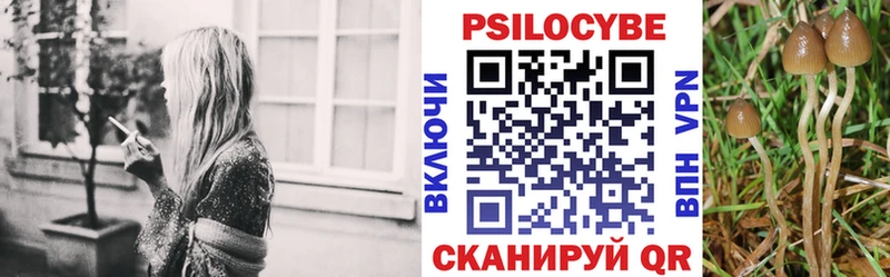 Купить  Дятьково  Псилоцибиновые грибы Psilocybine cubensis 
